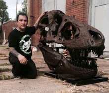 Cargar imagen en el visor de la galería, T.rex skull cast replica 1