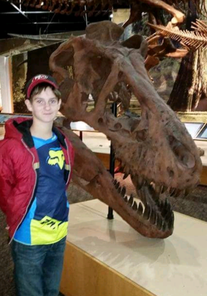 T.rex skull cast replica 1