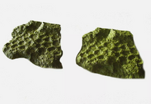 Load image into Gallery viewer, Dinosaur skin impression #2 cast replica