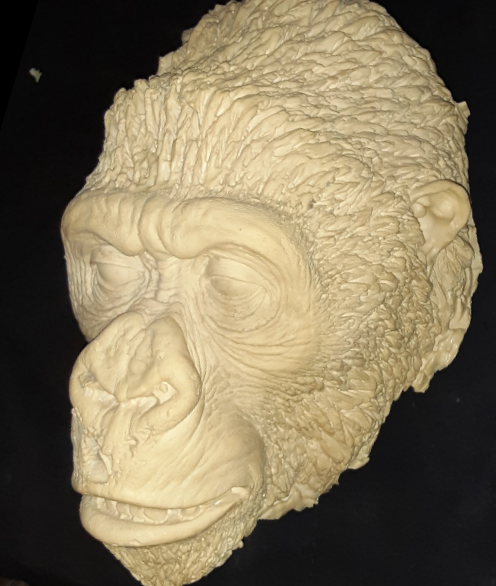 Gorilla head bust sculpture #2 Lifesize