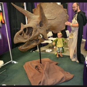 Triceratops skull cast replica reproduction for sale