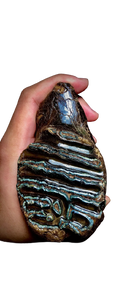 Fossil Mammoth tooth cast replica 2022A