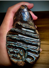 Charger l&#39;image dans la galerie, Fossil Mammoth tooth cast replica 2022A