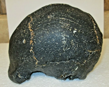 Cargar imagen en el visor de la galería, Homo erectus hominid skull cast replica SM3