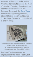 Laden Sie das Bild in den Galerie-Viewer, Stegosaurus skeleton dig panel