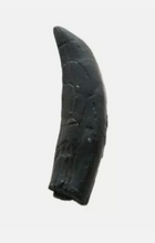 Charger l&#39;image dans la galerie, Allosaurus: Japan Allosaurus Dinosaur Fossil Tooth cast replica figure 10cm