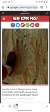 Load image into Gallery viewer, 1976(?) Yowie Australian Yowie Footprint Yeti Footprint track cast Cryptozoology Yowie Bigfoot Cast Replica Footprint