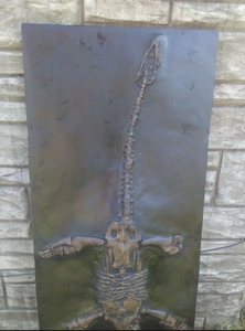 Plesiosaurus Skeleton cast replica marine reptile