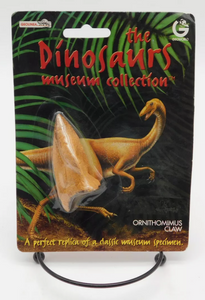 Dinosaur 4 Tooth & Claw Cast Collection Triceratops: Large Triceratops Tooth cast replica with root