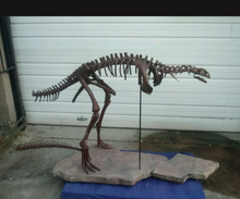Charger l&#39;image dans la galerie, Lufengosaurus skeleton cast replica dinosaur for sale or rent