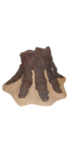Load image into Gallery viewer, Mastodon foot cast replica Pleistocene. Ice Age