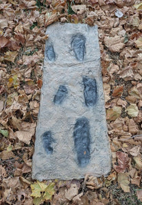 Laetoli Hominid Footprint tracks (4 tracks) impression casts