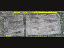Load image into Gallery viewer, Laetoli Hominid Footprint tracks (2 tracks) impression casts
