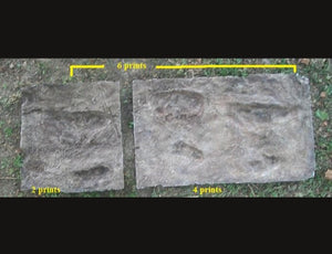 Laetoli Hominid Footprint tracks (2 tracks) impression casts