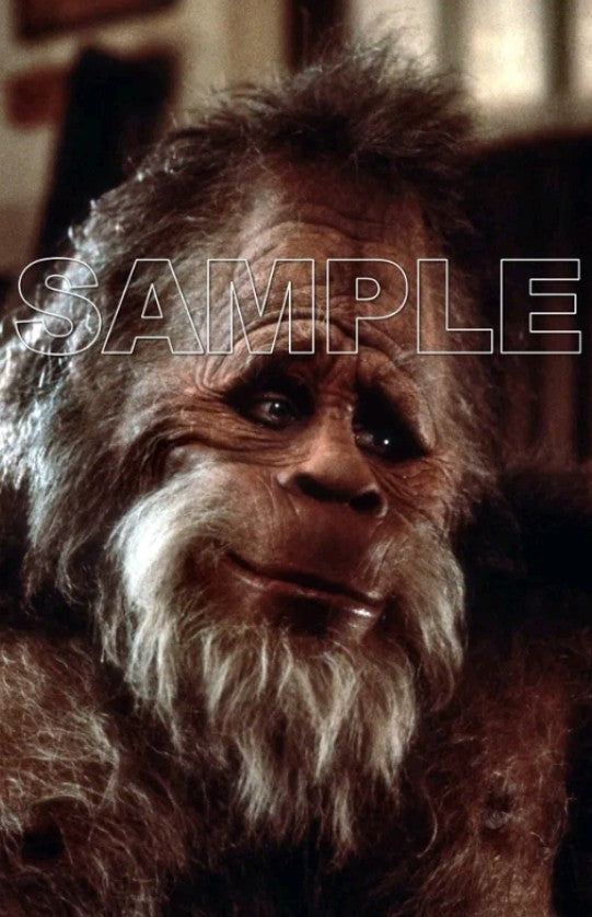 Harry and the Hendersons  8X10 Kevin Peter Hall Bigfoot Sasquatchphoto picture
