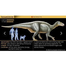 Laden Sie das Bild in den Galerie-Viewer, Iguanodon Dinosaur footprint track cast replica #1 TMF