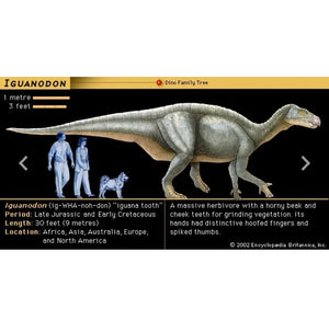 Iguanodon Dinosaur footprint track cast replica #1 TMF