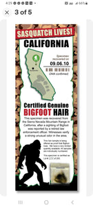 Bigfoot Novelty Bigfoot Sasquatch Hair Sample - Tracking Hunter Hunting -