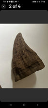 Charger l&#39;image dans la galerie, Woolly Rhino horns cast replicas