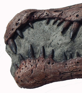 Spinosaurus Skull Plaque cast replica Dinosaur
