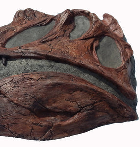 Spinosaurus Skull Plaque cast replica Dinosaur