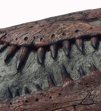 Laden Sie das Bild in den Galerie-Viewer, Spinosaurus Skull Plaque cast replica Dinosaur