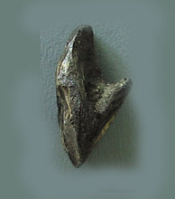 Cargar imagen en el visor de la galería, Triceratops: Large Triceratops Tooth cast replica with root