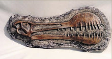 Load image into Gallery viewer, Tropeognathus Skull Plaque (model cast Replica Reproduction