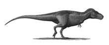 Laden Sie das Bild in den Galerie-Viewer, T.rex femur cast replica #1 Ivan the T-Rex