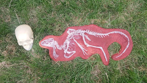 Heterodontosaurus skeleton cast replica