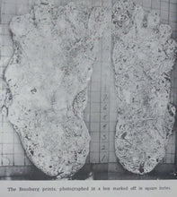 Charger l&#39;image dans la galerie, 1969 Bigfoot &quot;Cripple Foot&quot; cast
