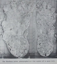 Laden Sie das Bild in den Galerie-Viewer, 1969 Bigfoot &quot;Cripple Foot&quot; cast B