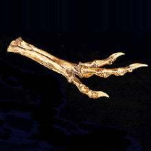 Laden Sie das Bild in den Galerie-Viewer, Albertosaurus Foot cast replica reproduction dinosaur fossil cast Gorgosaurus Taylor Made Fossils