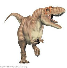 Charger l&#39;image dans la galerie, Albertosaurus hand cast replica reproduction dinosaur fossil cast Gorgosaurus