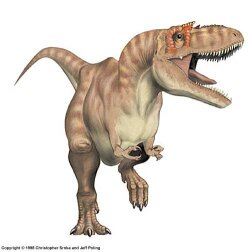 Albertosaurus hand cast replica reproduction dinosaur fossil cast Gorgosaurus