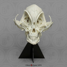 Cargar imagen en el visor de la galería, Alien Grey skull cast replica