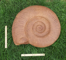 Charger l&#39;image dans la galerie, Ammonite:  Largest Ammonite cast available anywhere