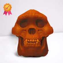 Load image into Gallery viewer, Bigfoot Skull Cast Artistic Interpretation by Master artist.