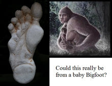画像をギャラリービューアに読み込む, 2005 Baby Bigfoot cast Bigfoot print cast