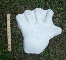 画像をギャラリービューアに読み込む, 1970s  Bigfoot hand cast #2: XL hand (1970)
