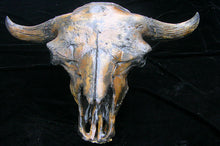 Laden Sie das Bild in den Galerie-Viewer, Bison antiquus fossil skull cast replica #3