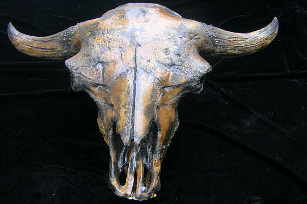 Bison antiquus fossil skull cast replica #3