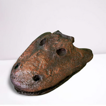 Laden Sie das Bild in den Galerie-Viewer, Eryops skull fossil cast replica reproduction