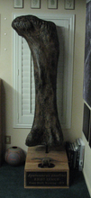 Load image into Gallery viewer, Apatosaurus femur cast replicas