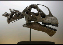 Load image into Gallery viewer, Dinosaur rental package #1
