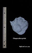 Load image into Gallery viewer, 2007 Chupacabra footprint track cast replica