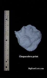 2007 Chupacabra footprint track cast replica