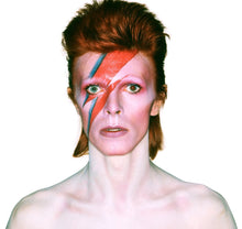 画像をギャラリービューアに読み込む, Bowie, David Bowie Life Mask Cast &quot;The Hunger&quot;