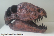 Laden Sie das Bild in den Galerie-Viewer, Dimetrodon limbatus skull cast replica #2