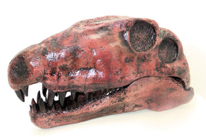 Dimetrodon skeleton cast replica 3